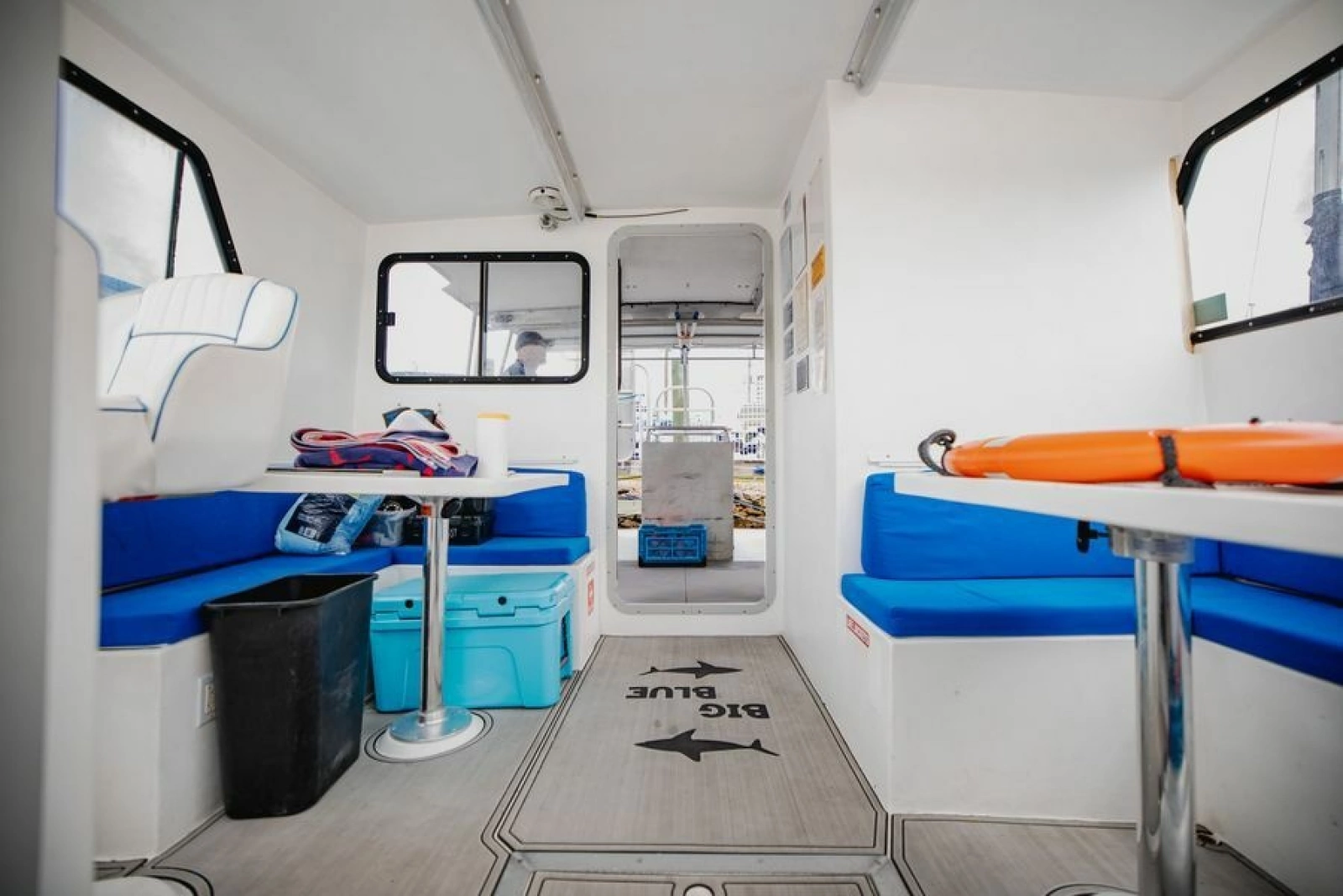 2019 Newton 36' Dive Special