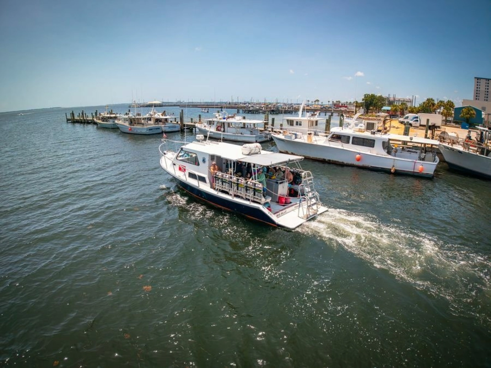 2019 Newton 36' Dive Special