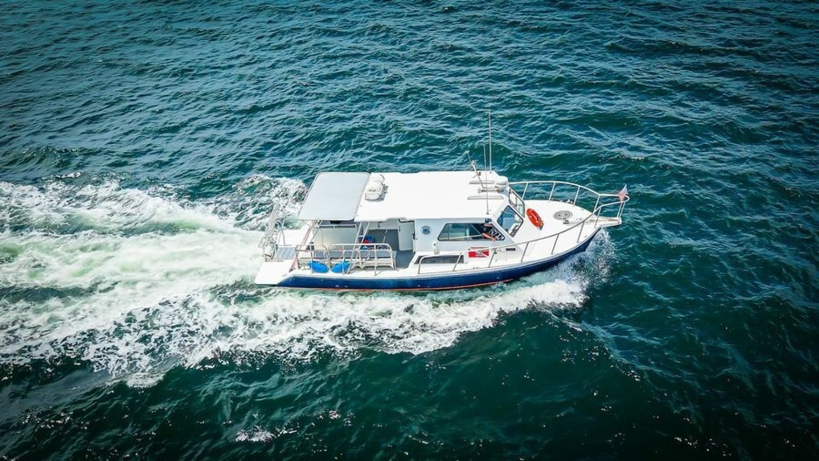 2019 Newton 36' Dive Special