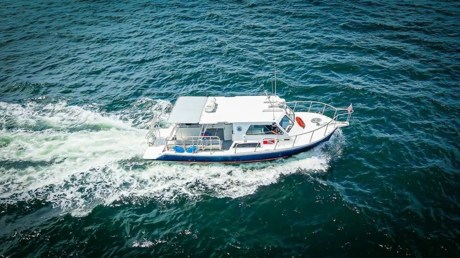 2019 Newton 36' Dive Special