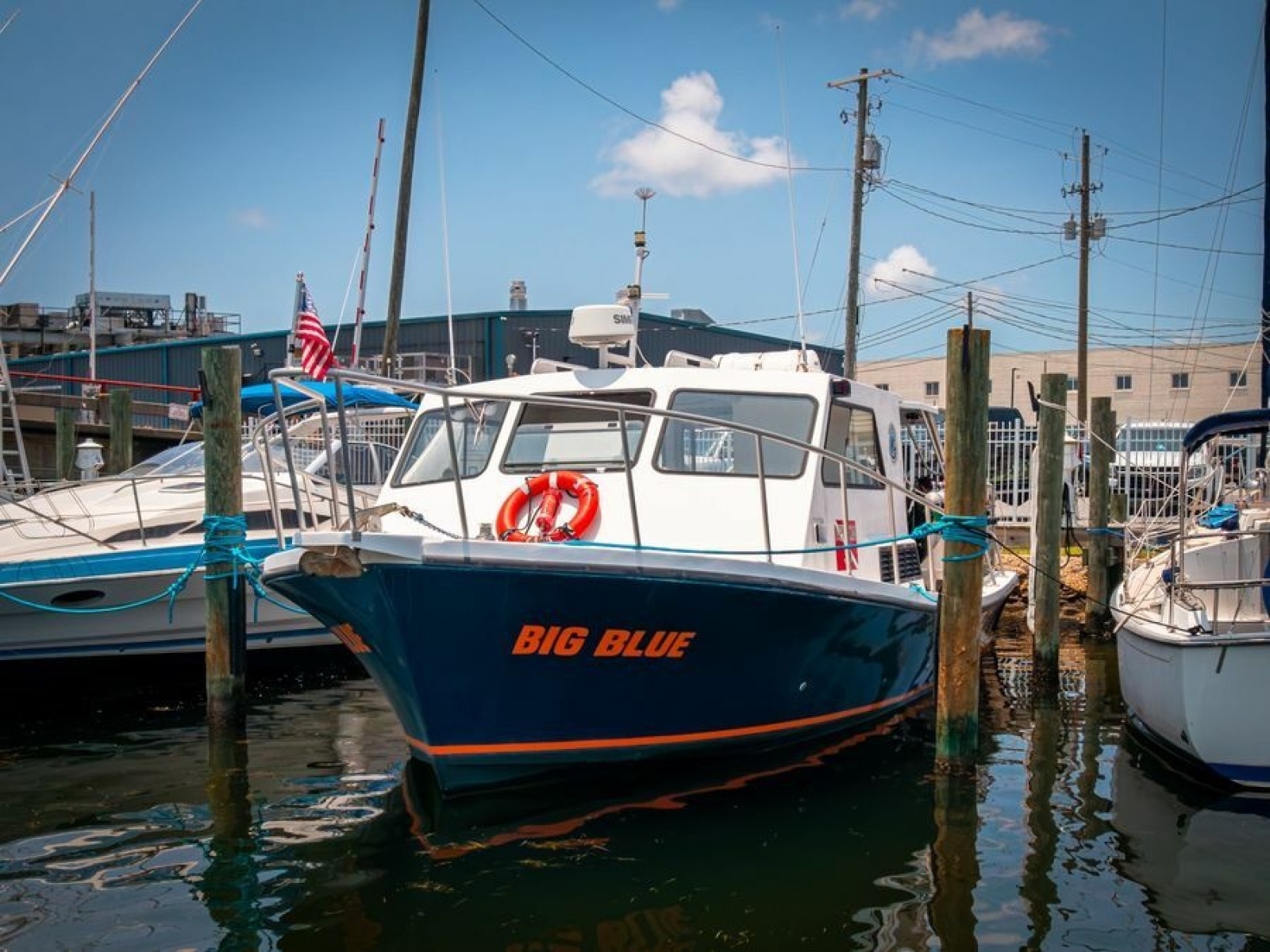 2019 Newton 36' Dive Special