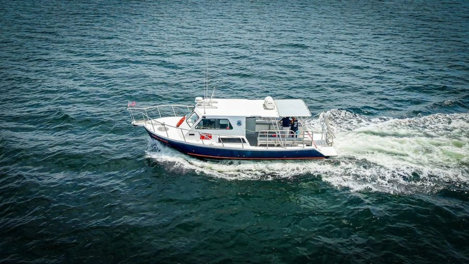 2019 Newton 36' Dive Special