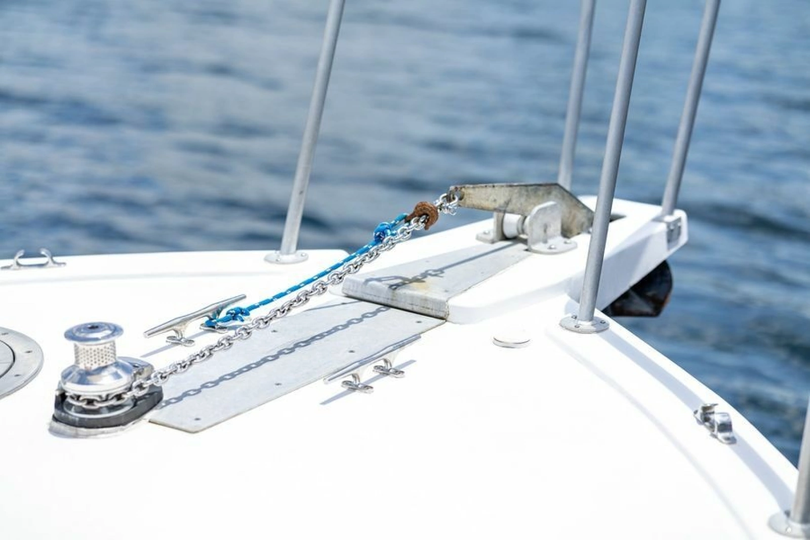 2019 Newton 36' Dive Special