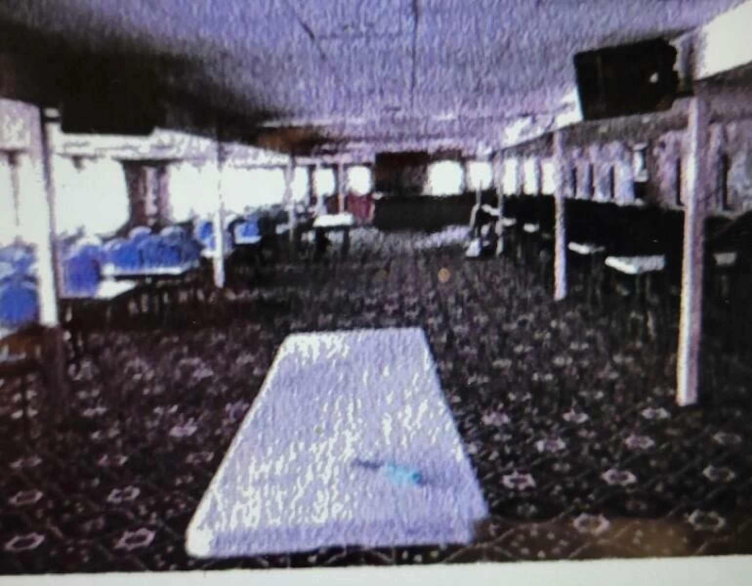 1985 Custom Dinner/Excursion/Passenger