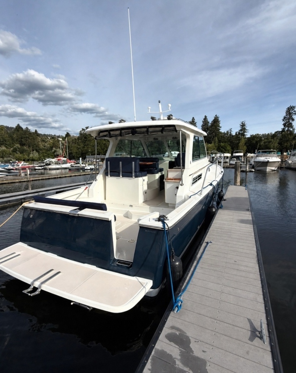 2008 Back Cove 33