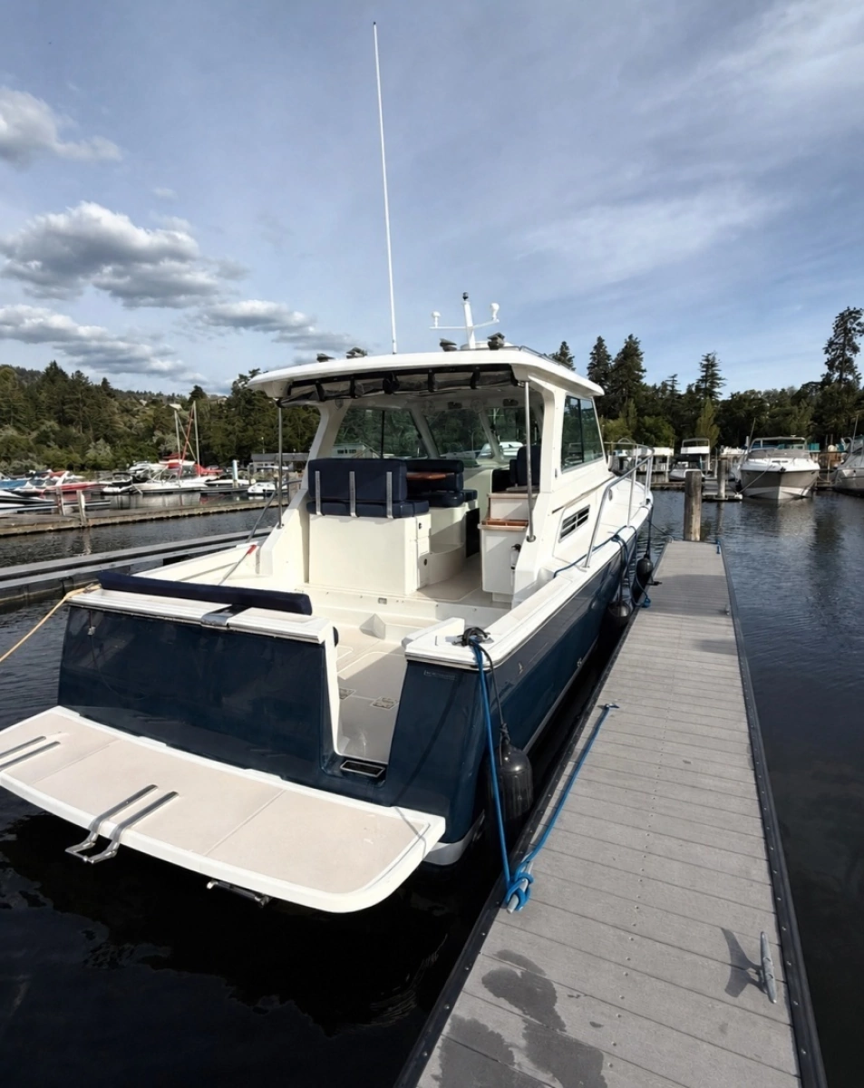 2008 Back Cove 33