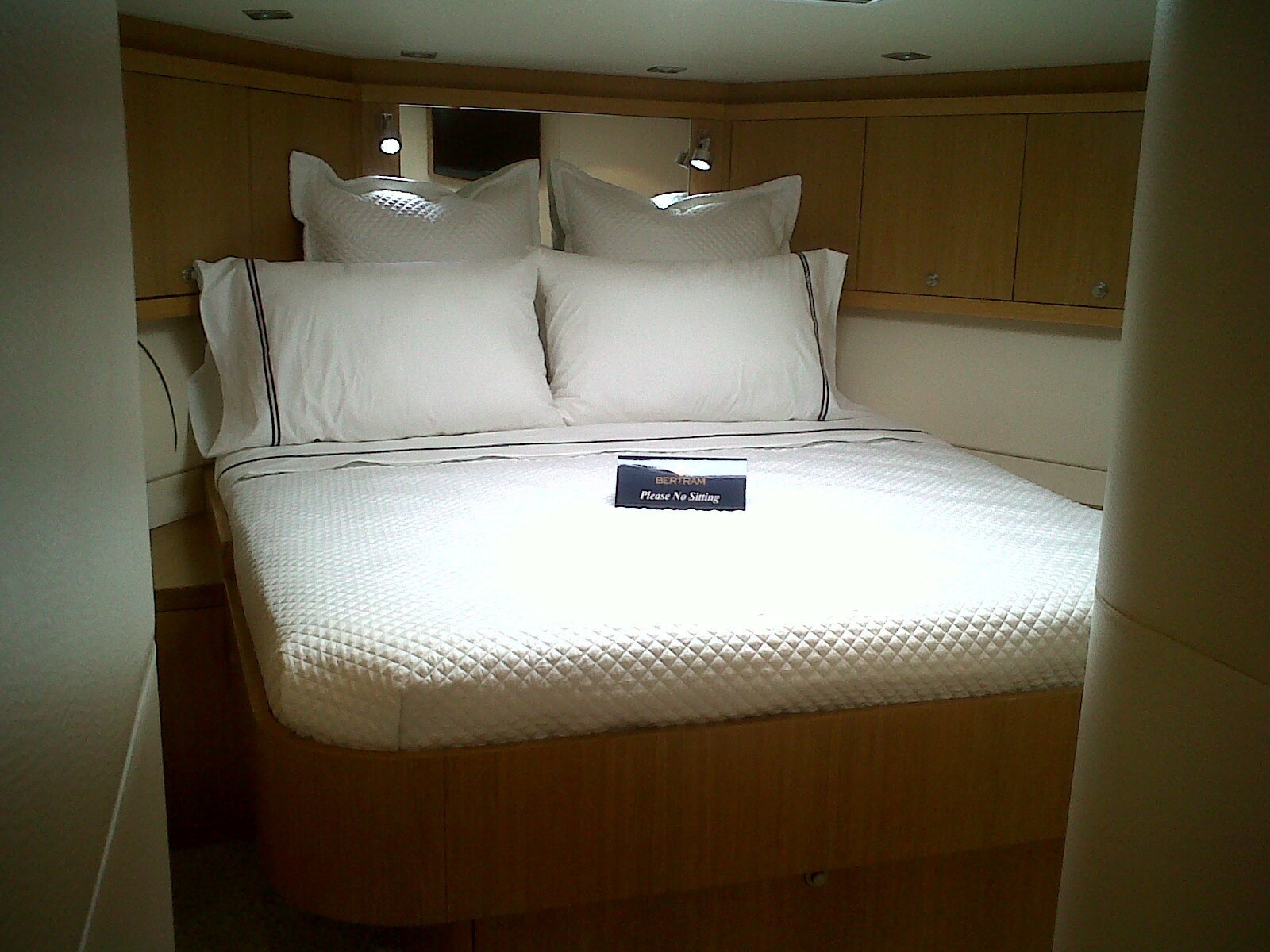 2010 Bertram 540