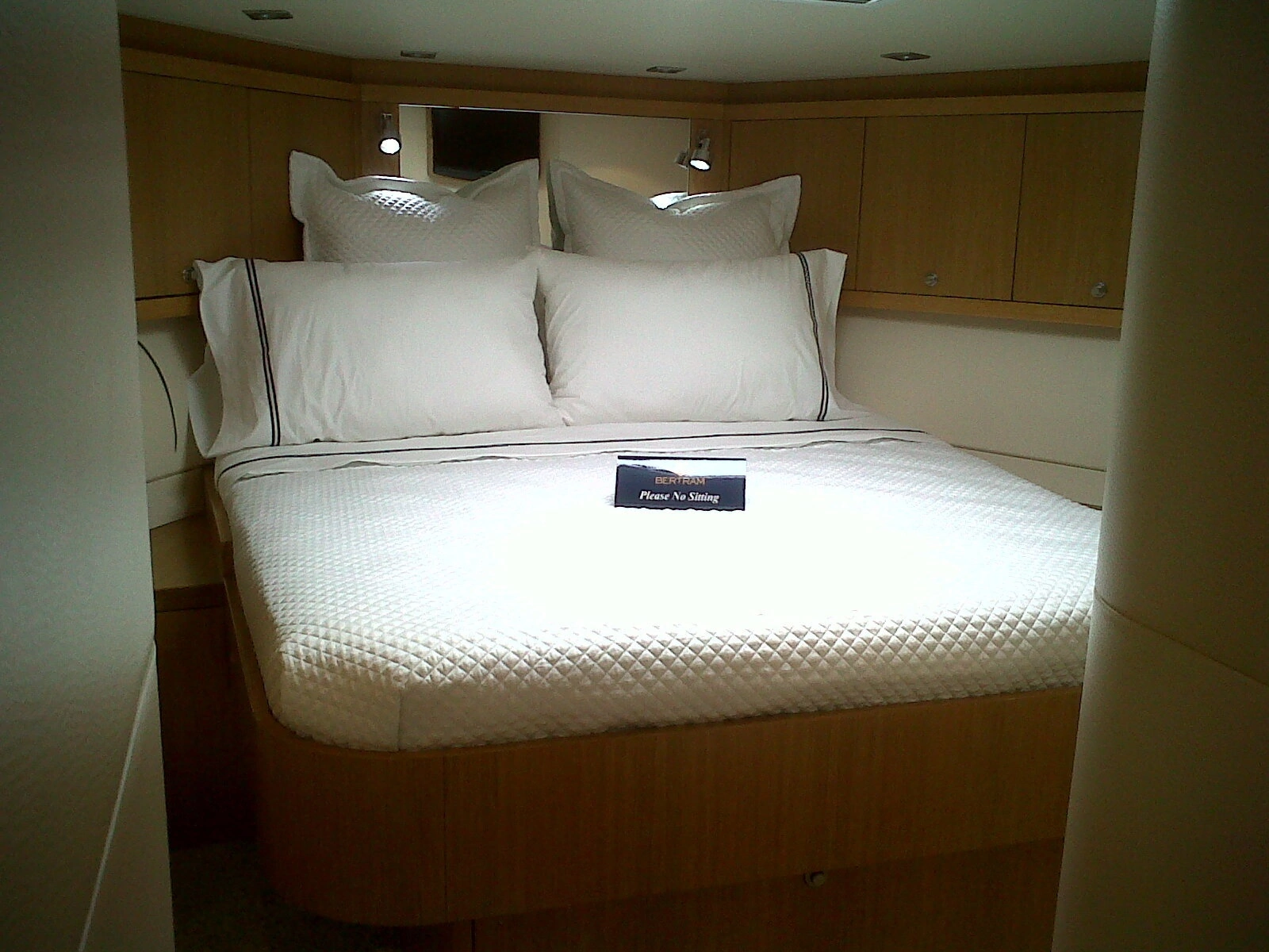 2010 Bertram 540