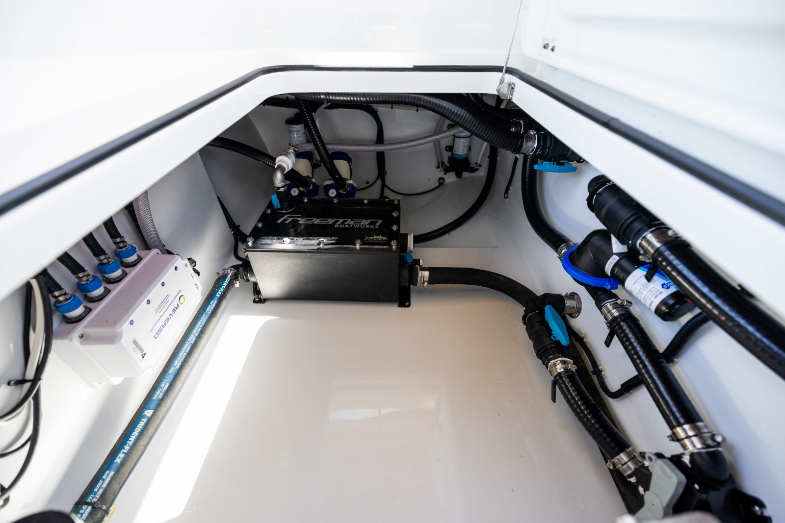 2026 Freeman