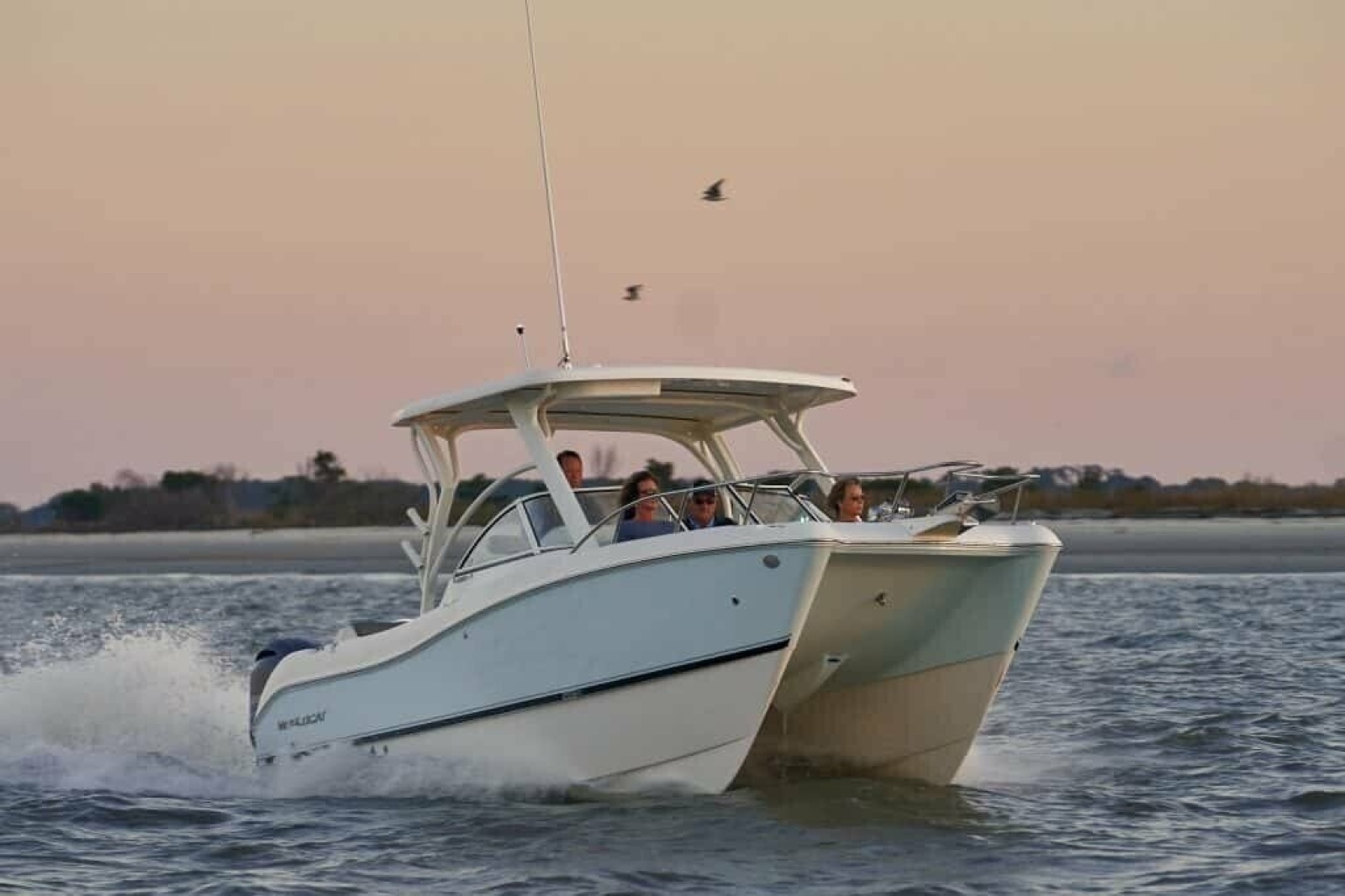 2013 World Cat 255 DC