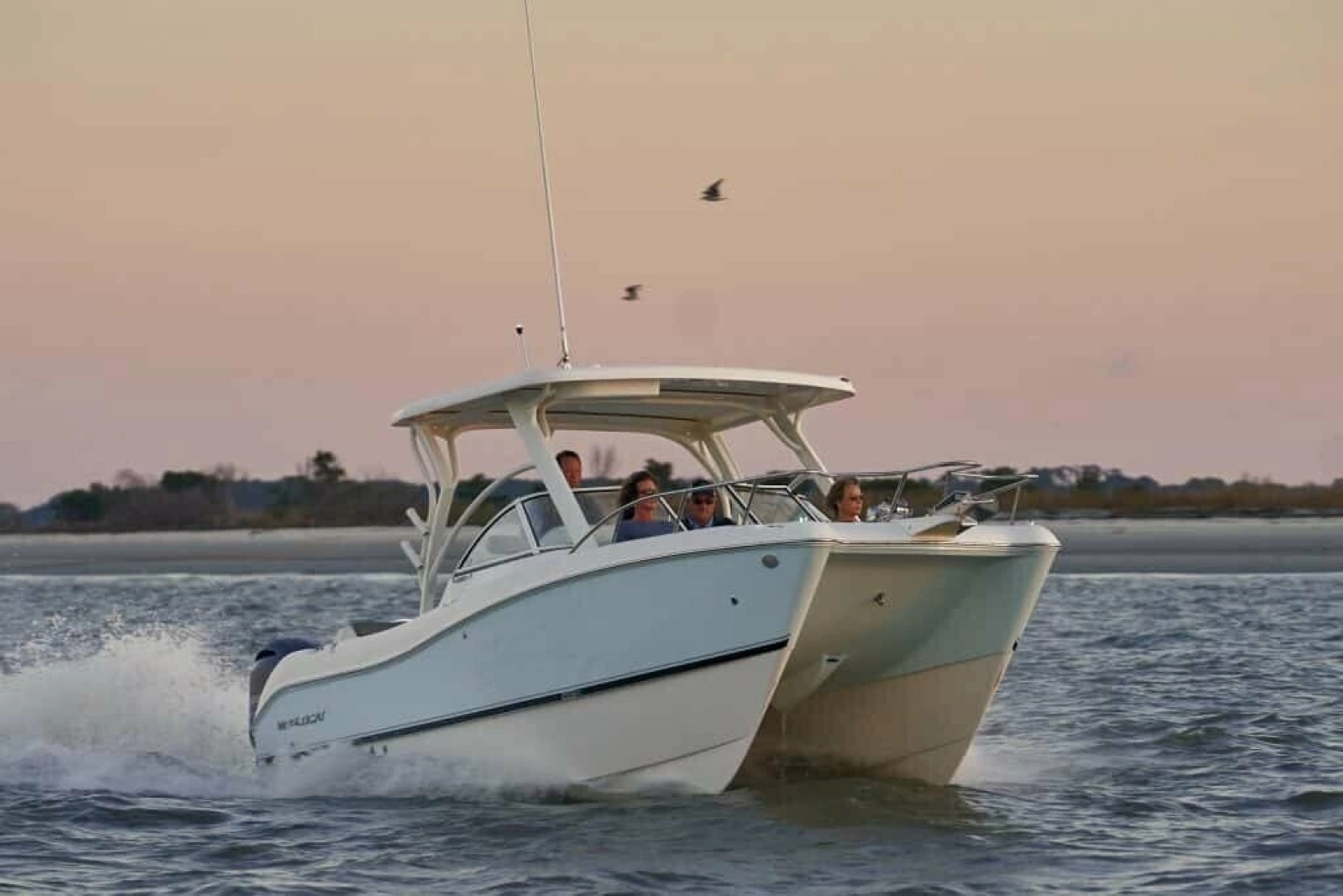 2013 World Cat 255 DC