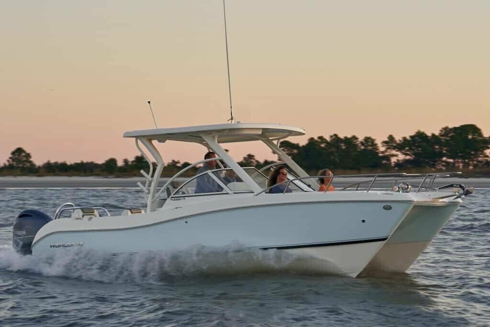 2013 World Cat 255 DC