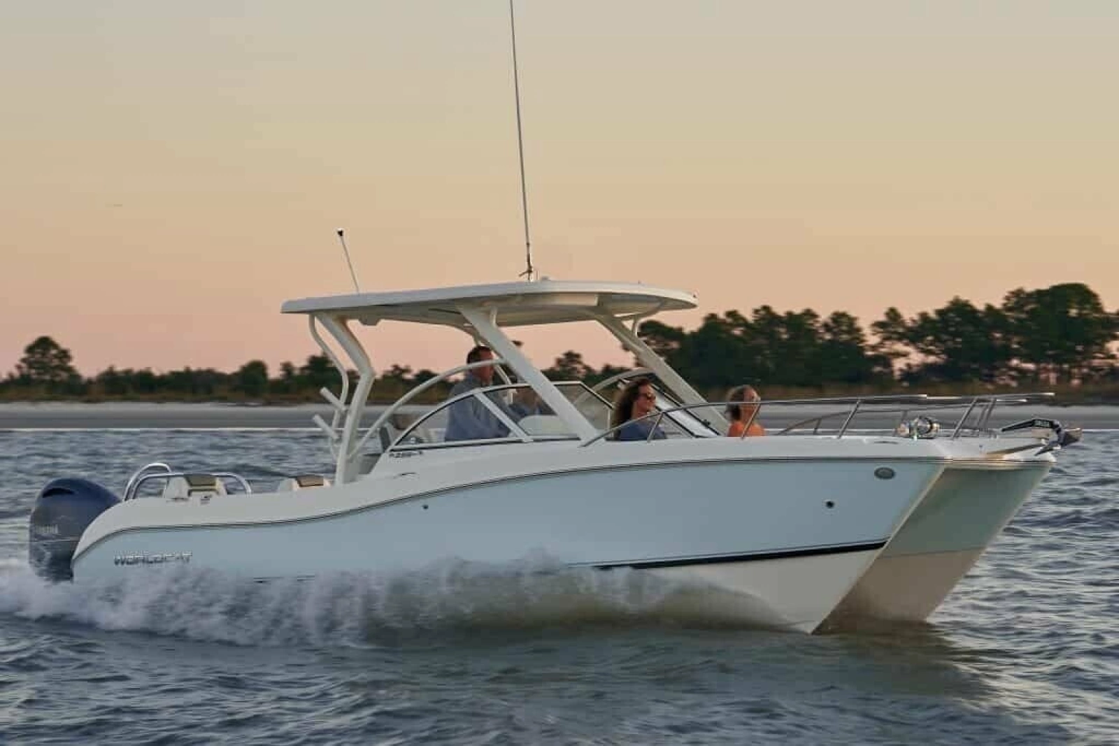 2013 World Cat 255 DC