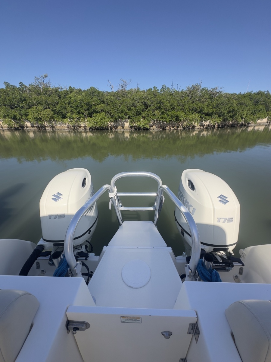 2013 World Cat 255 DC