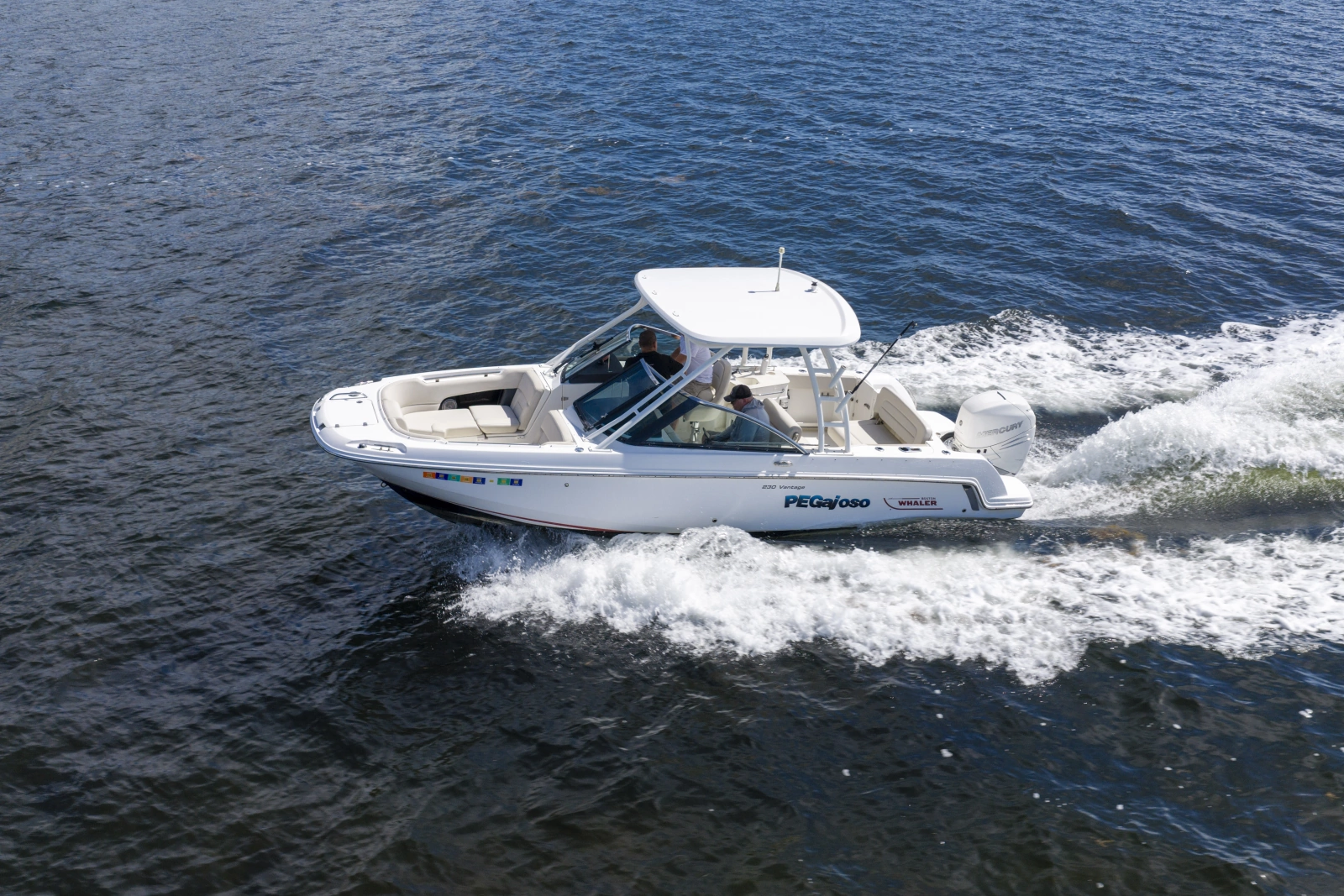 2016 Boston Whaler 230 VANTAGE