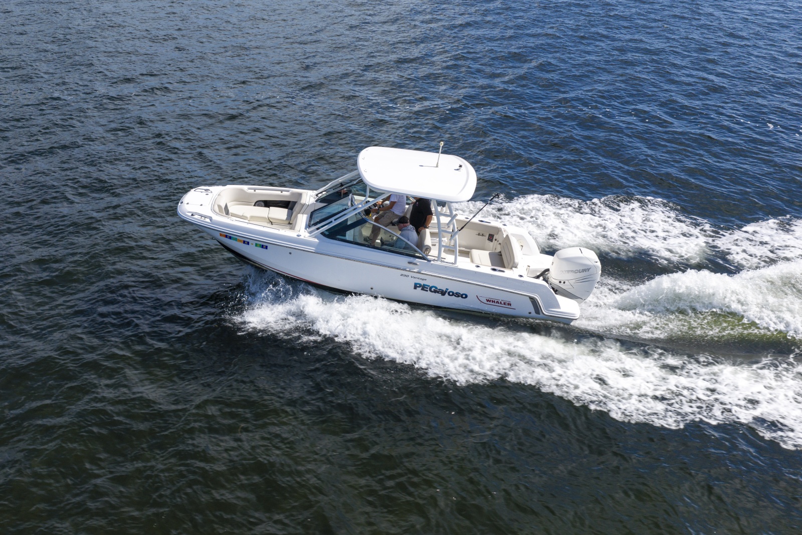 2016 Boston Whaler 230 VANTAGE