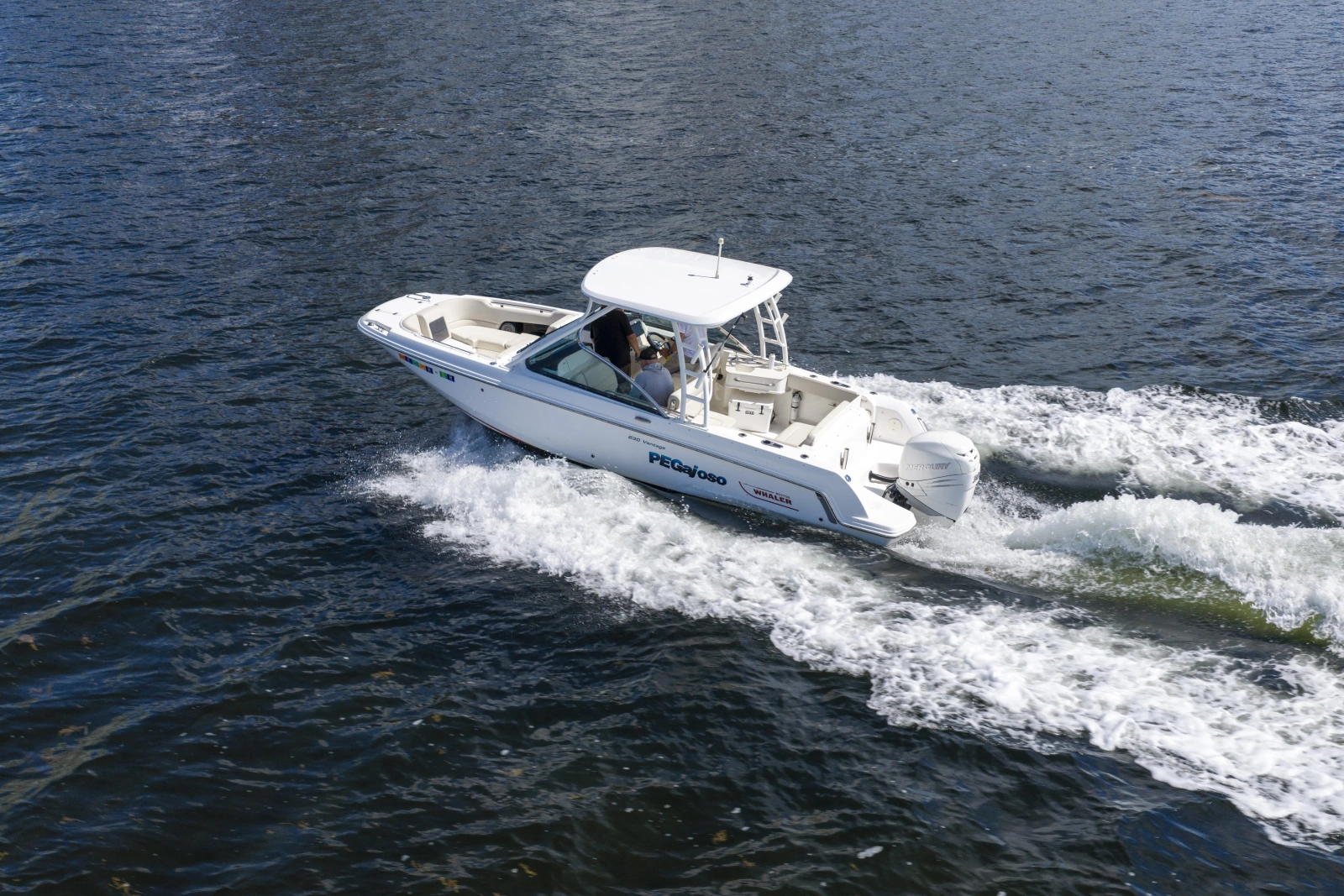 2016 Boston Whaler 230 VANTAGE