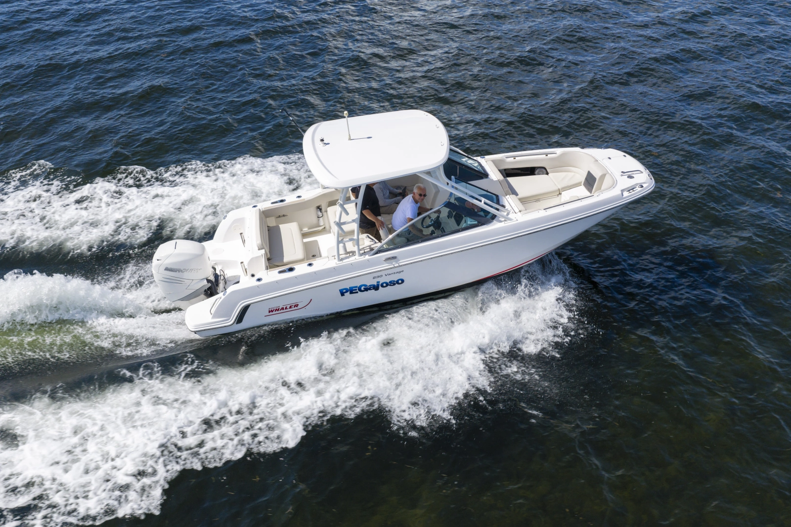 2016 Boston Whaler 230 VANTAGE