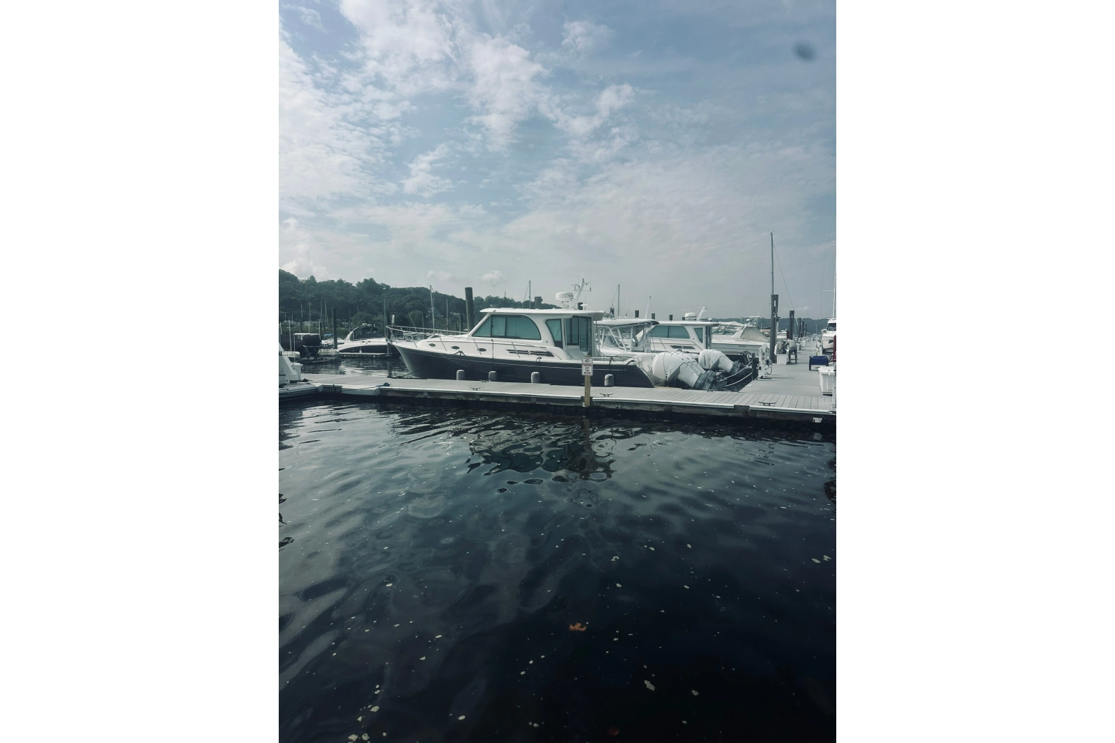 2023 Back Cove 39O