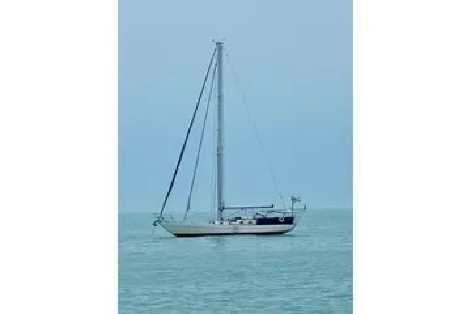 2011 Reliance 44