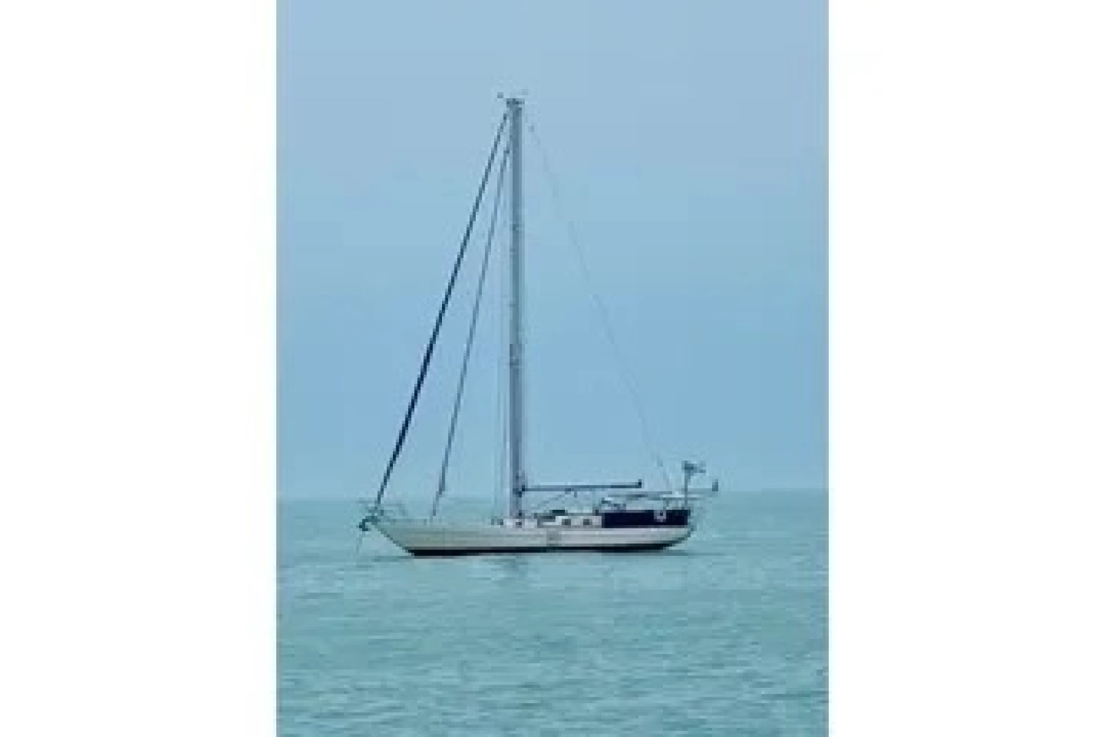2011 Reliance 44