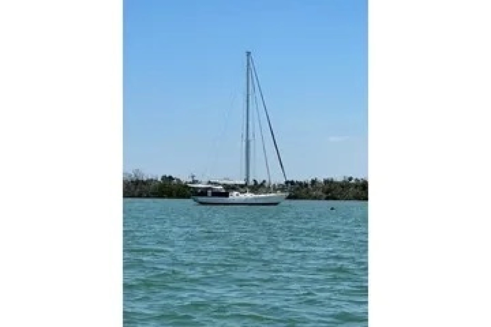 2011 Reliance 44