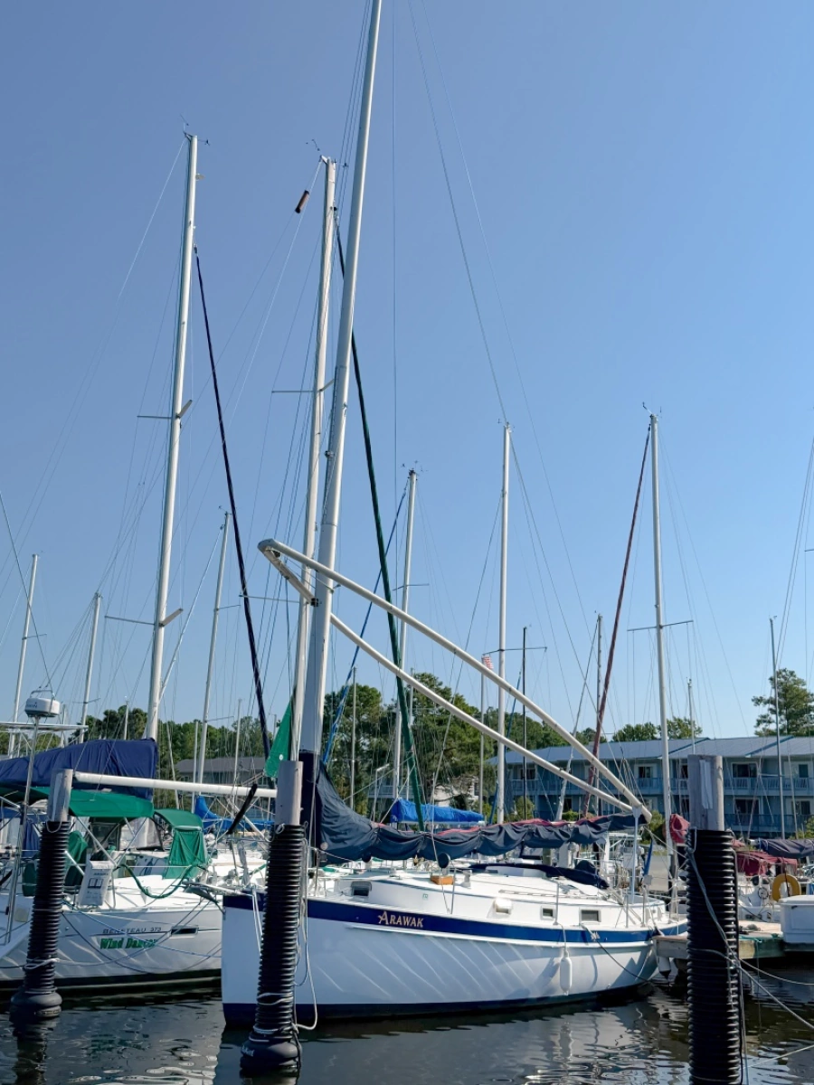 1989 Nonsuch 33