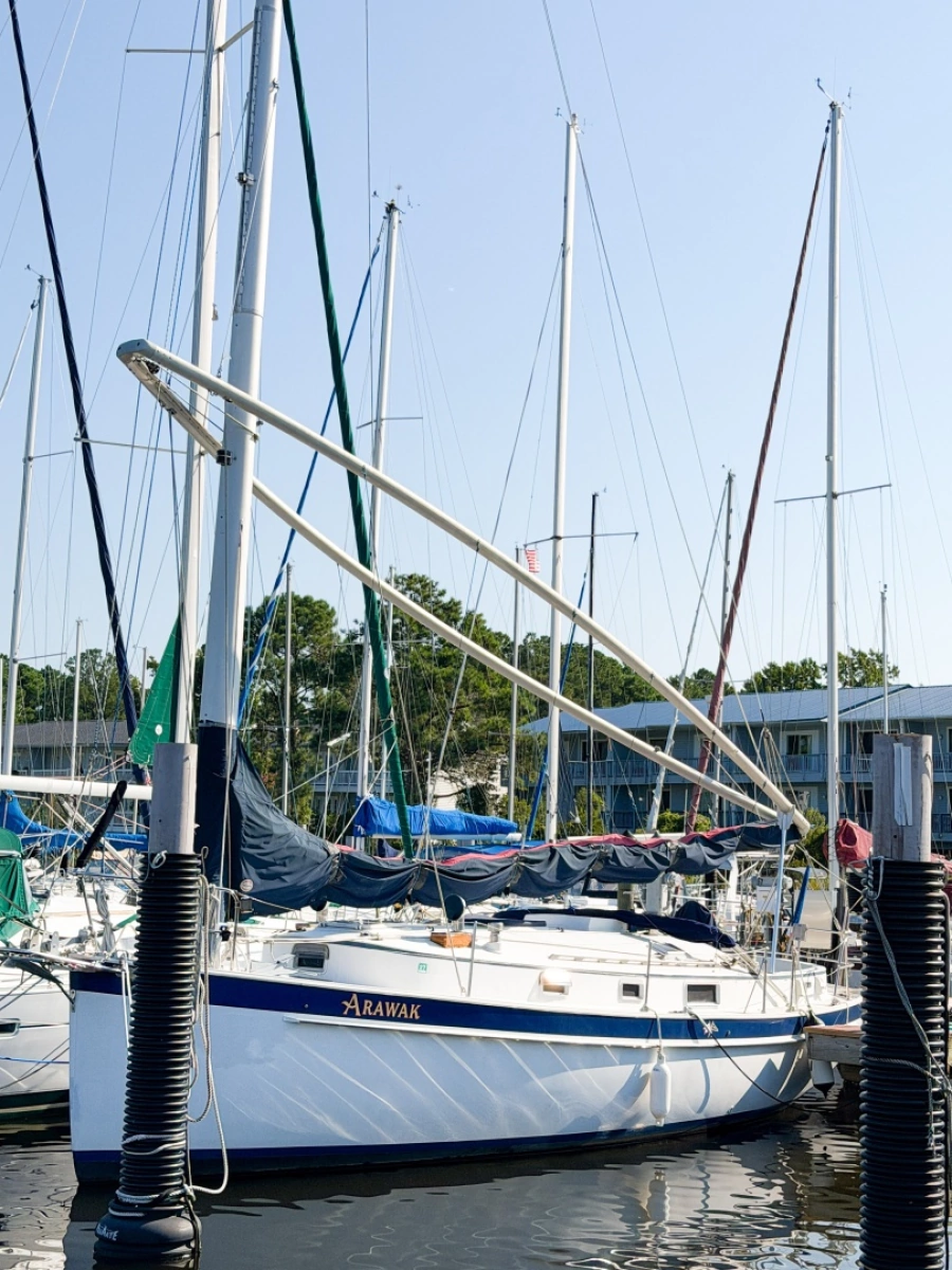 1989 Nonsuch 33