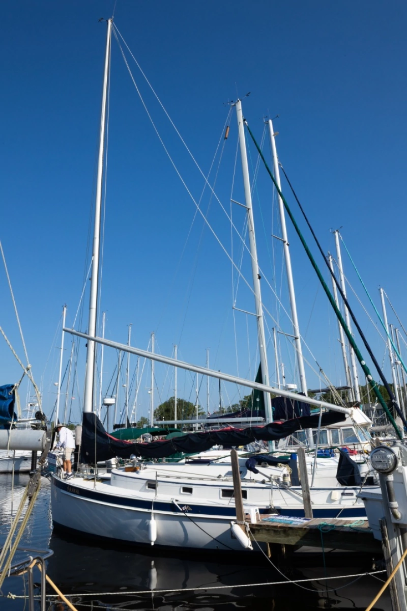 1989 Nonsuch 33