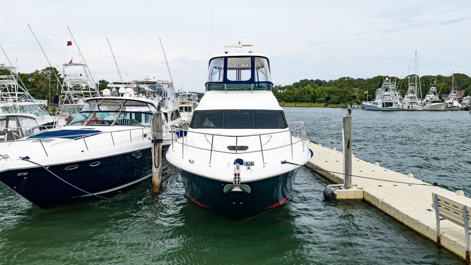 2006 Sea Ray 52 Sedan Bridge