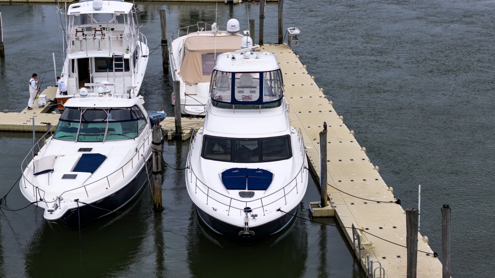 2006 Sea Ray 52 Sedan Bridge