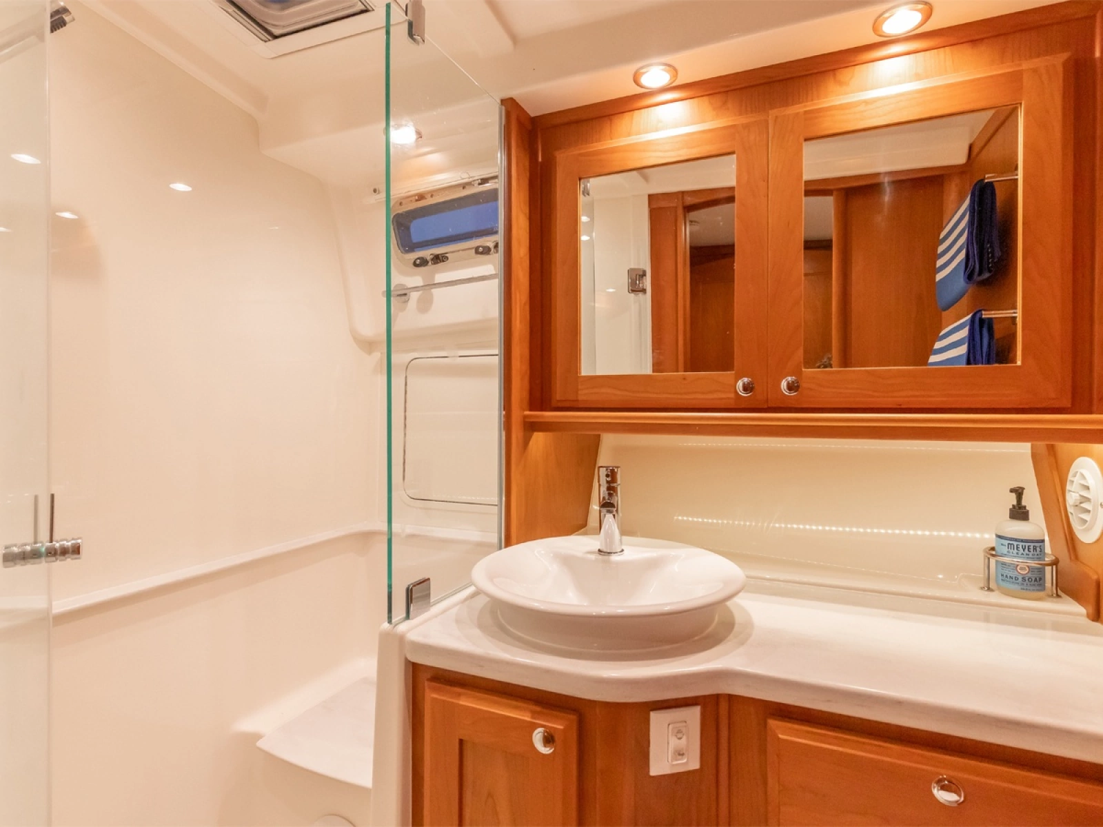 Master Ensuite Head and Shower