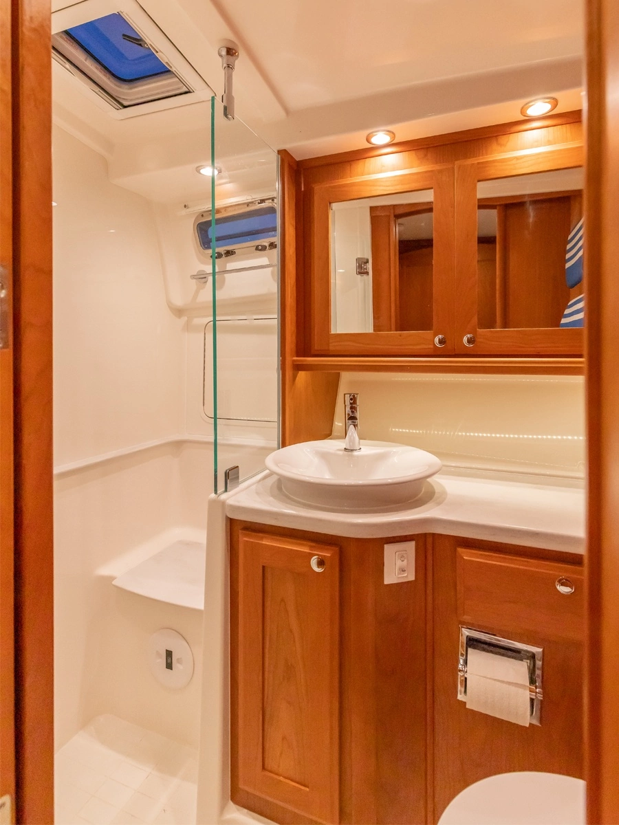 Master Ensuite Head and Shower