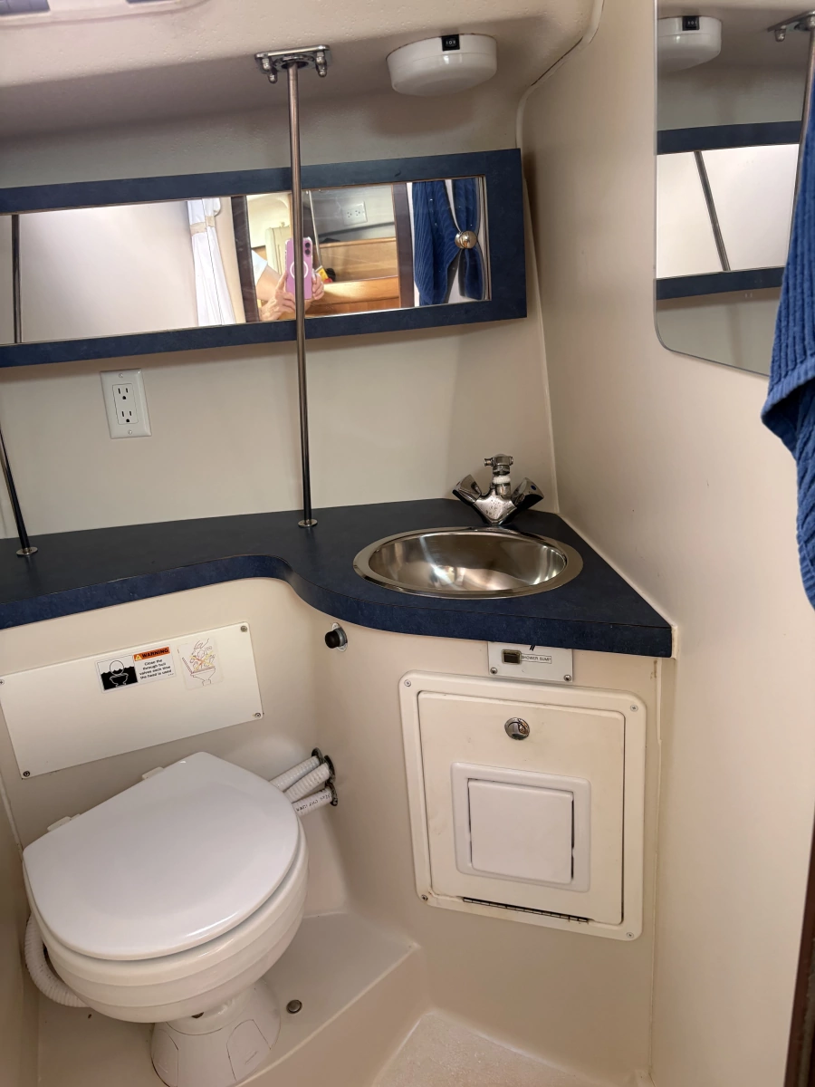 2006 Catalina 309