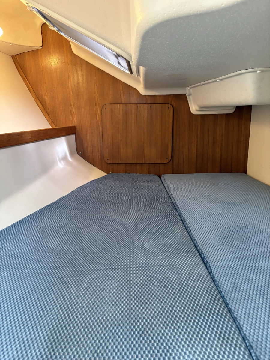 2006 Catalina 309
