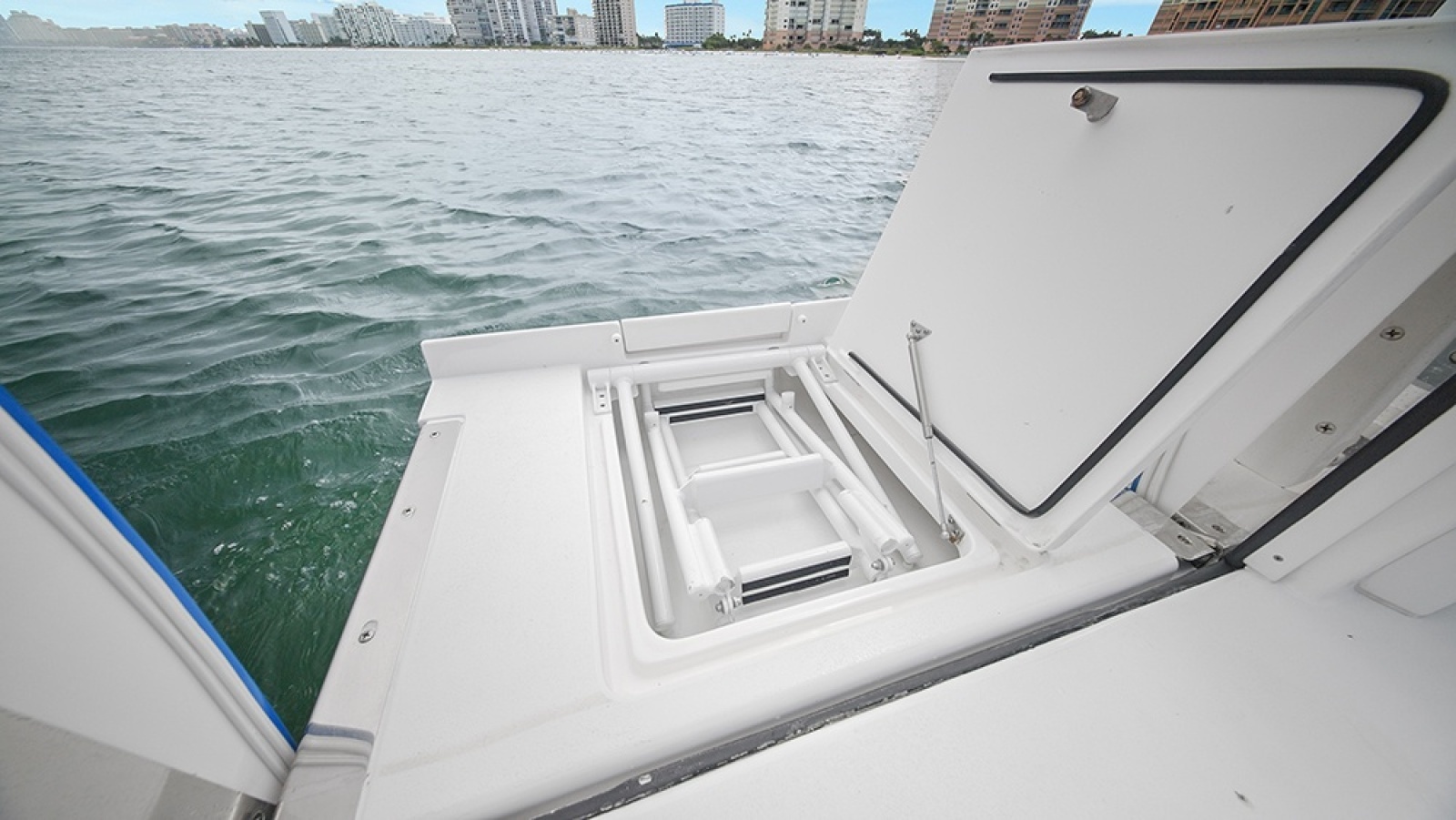 Fold out swim ladder