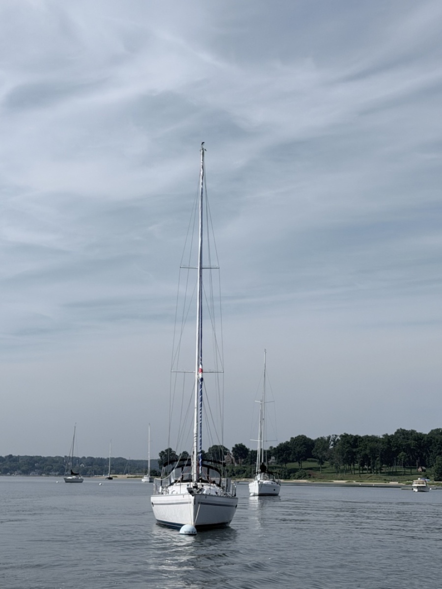 2015 Catalina 315