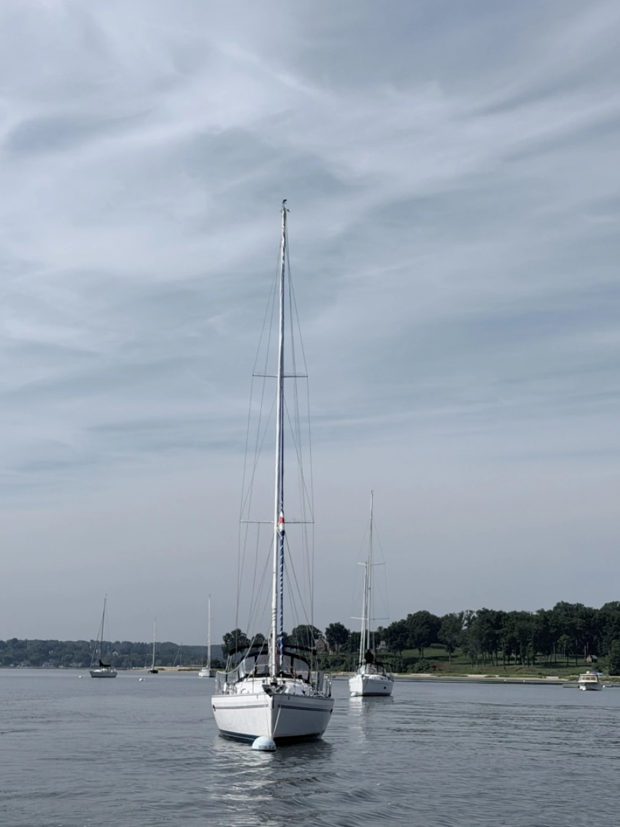 2015 Catalina 315