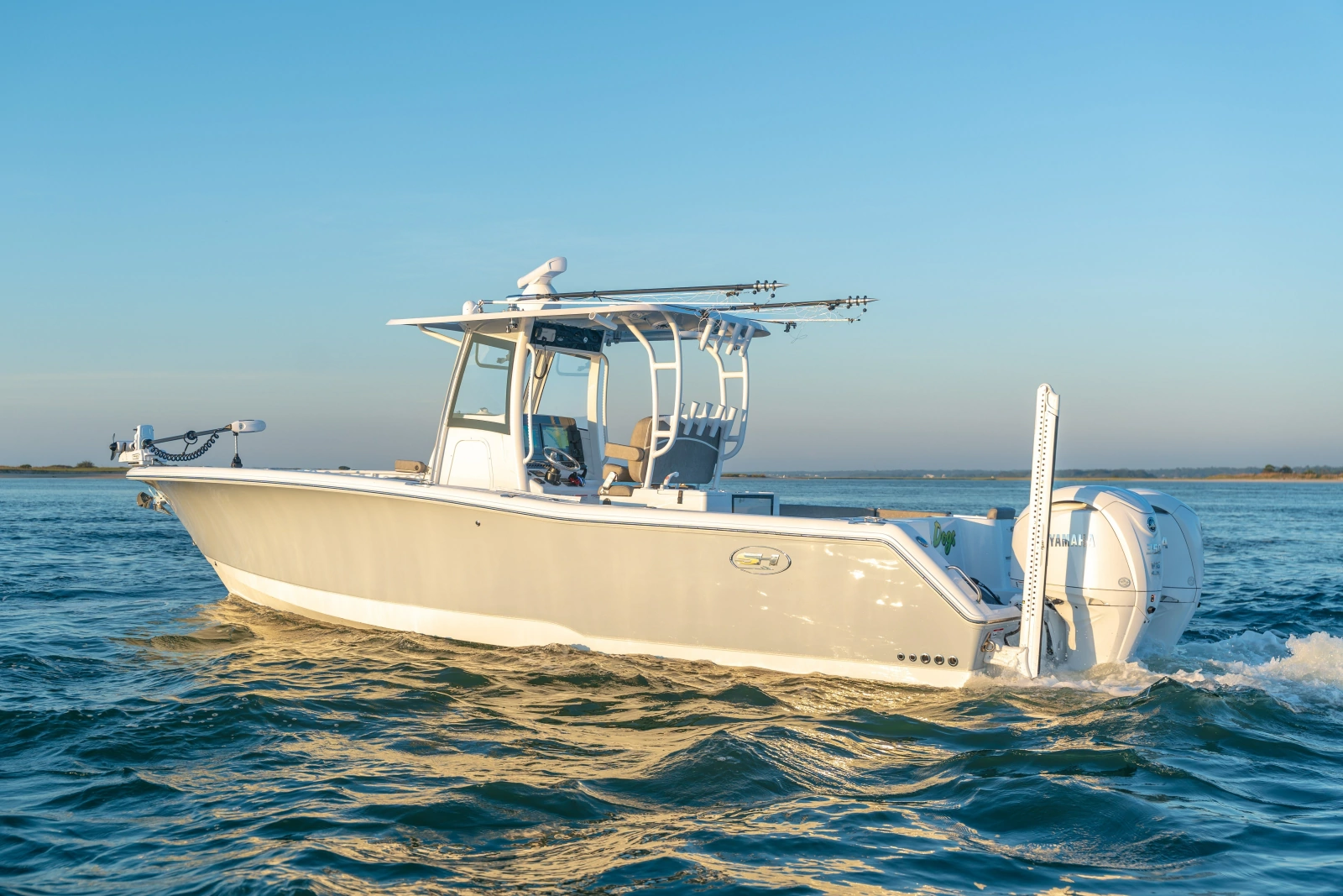 Sea Dogs 30ft Sea Hunt Yacht For Sale