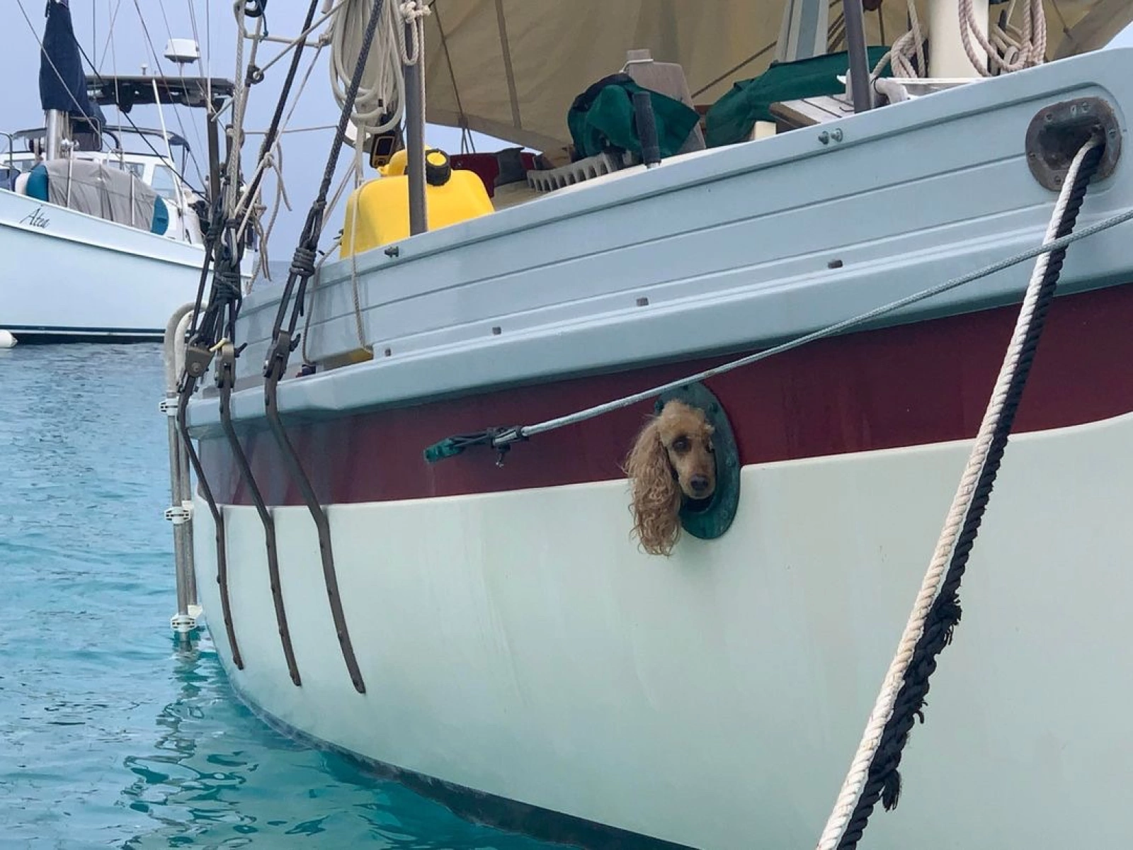 Angelsea 28ft Bristol Channel Cutter Yacht For Sale