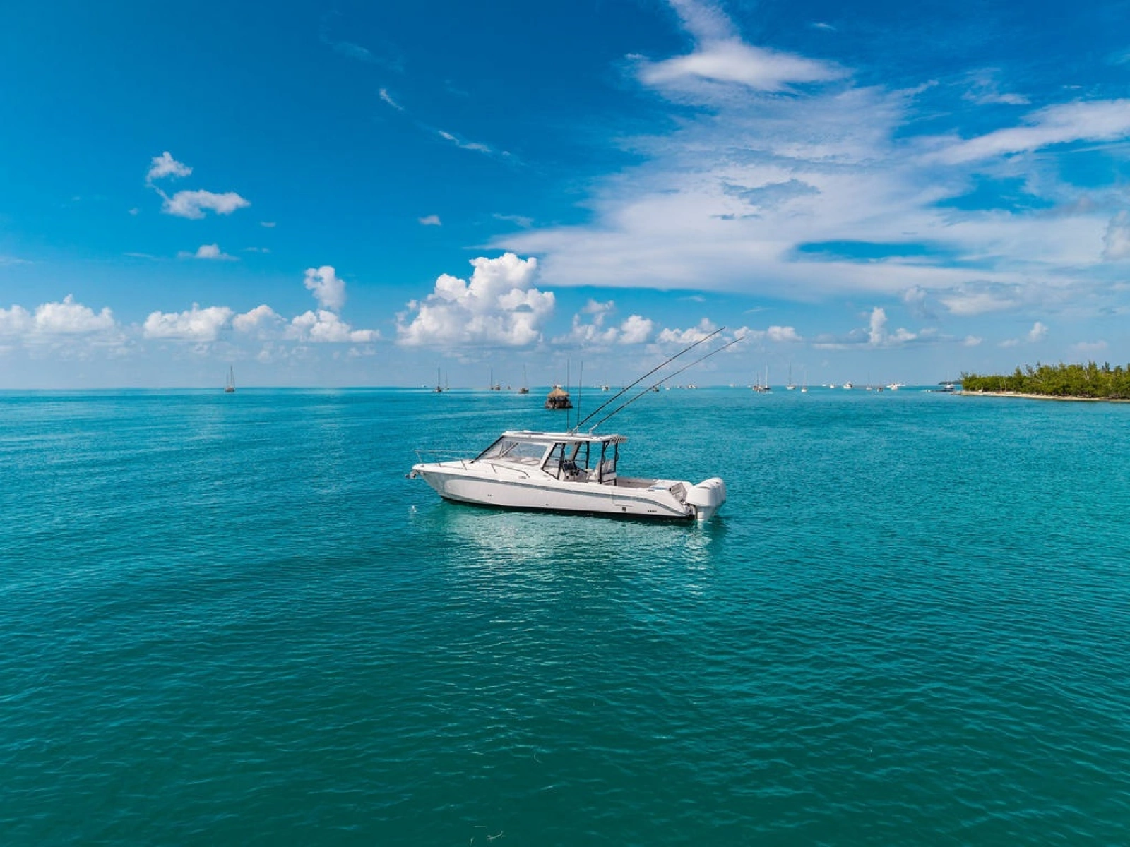 2019 Everglades 