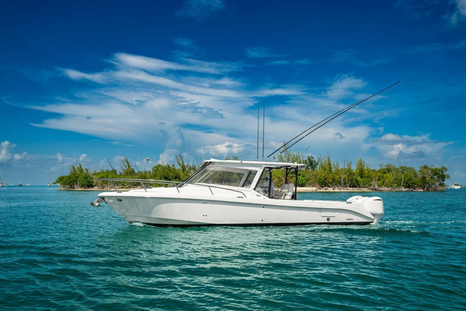 2019 Everglades 
