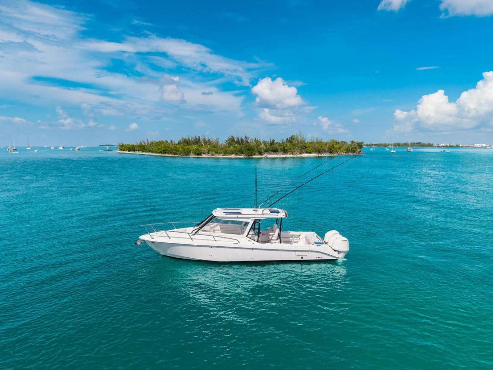 2019 Everglades 