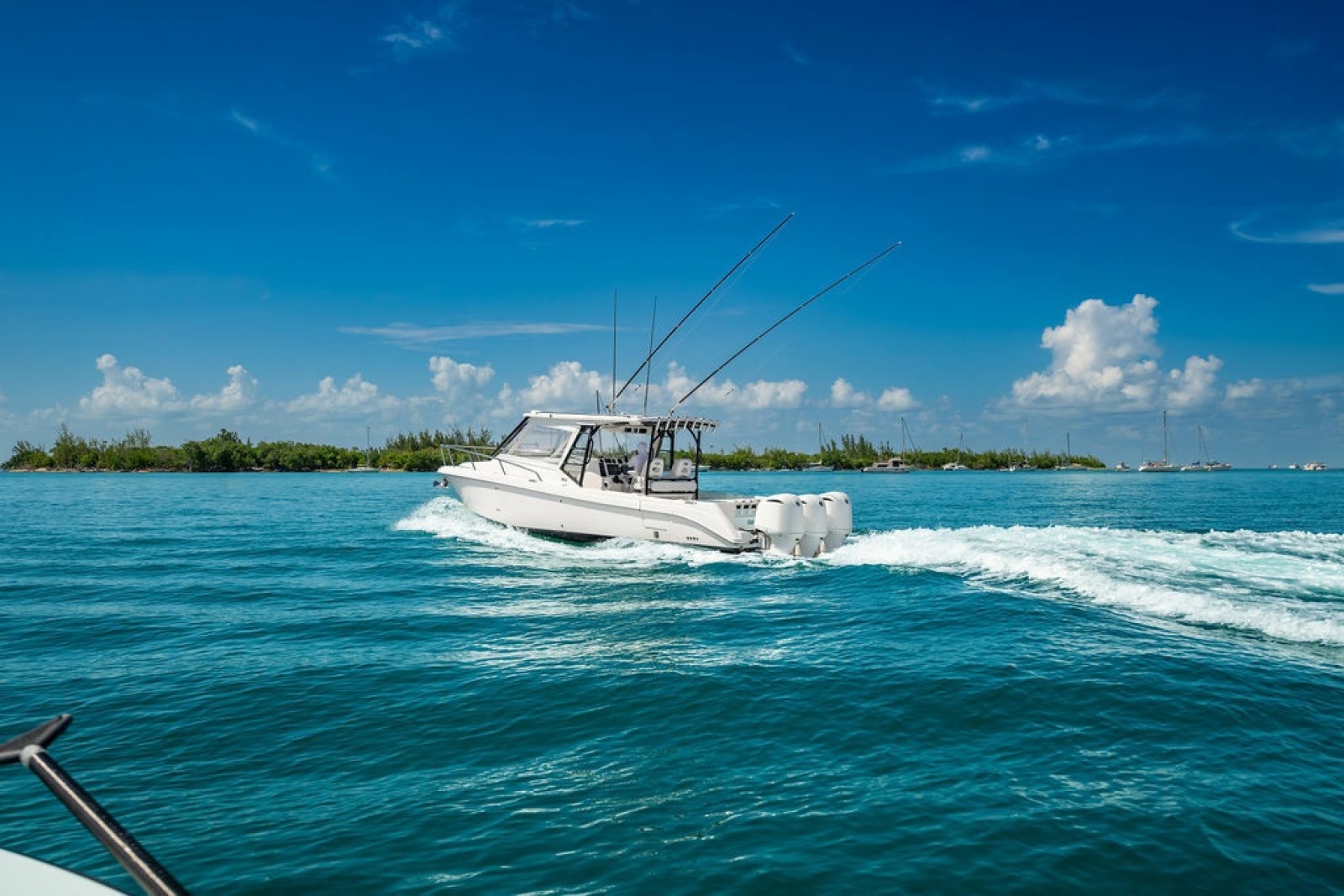 2019 Everglades