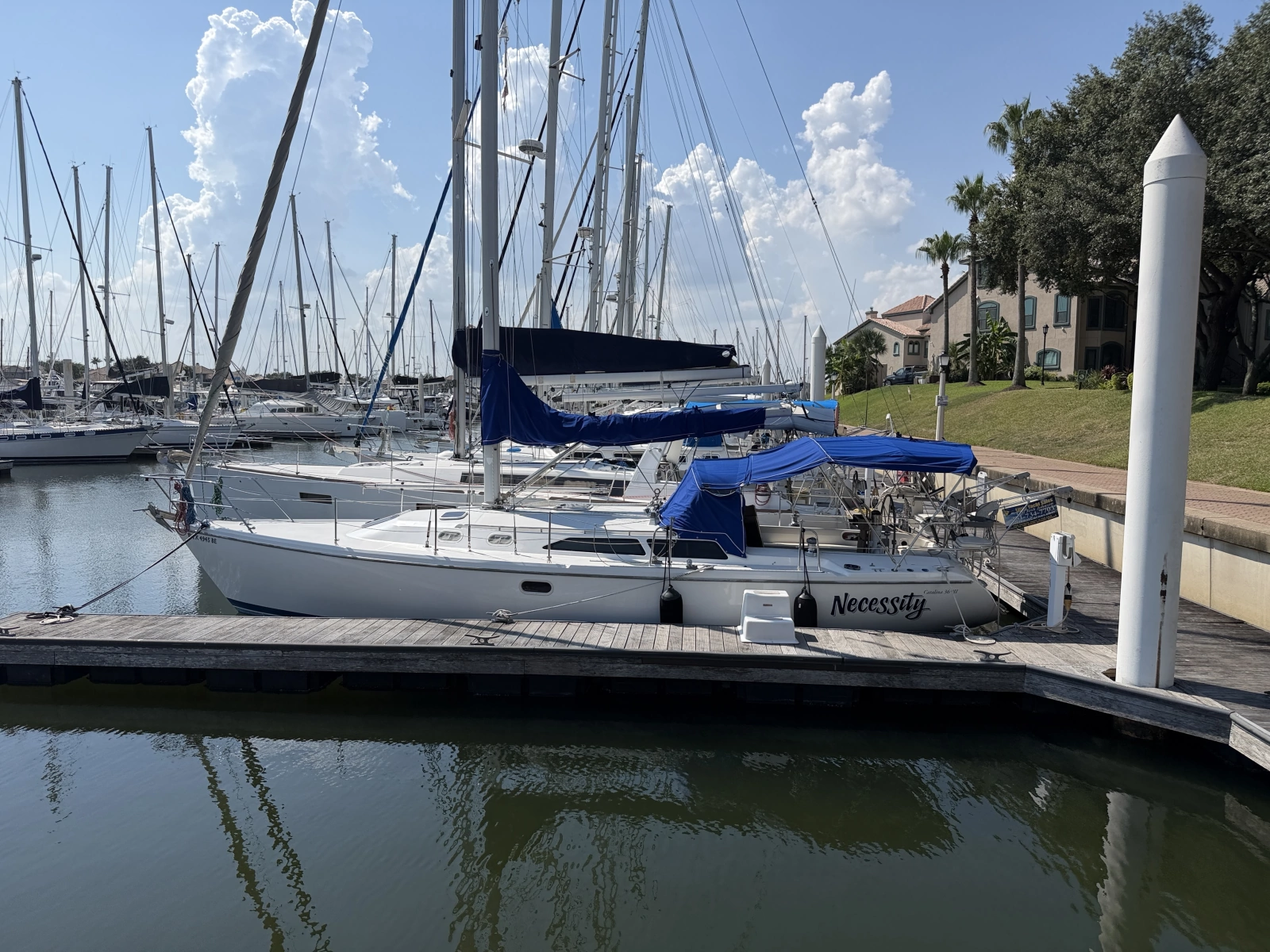NECESSITY 36ft Catalina Yacht For Sale