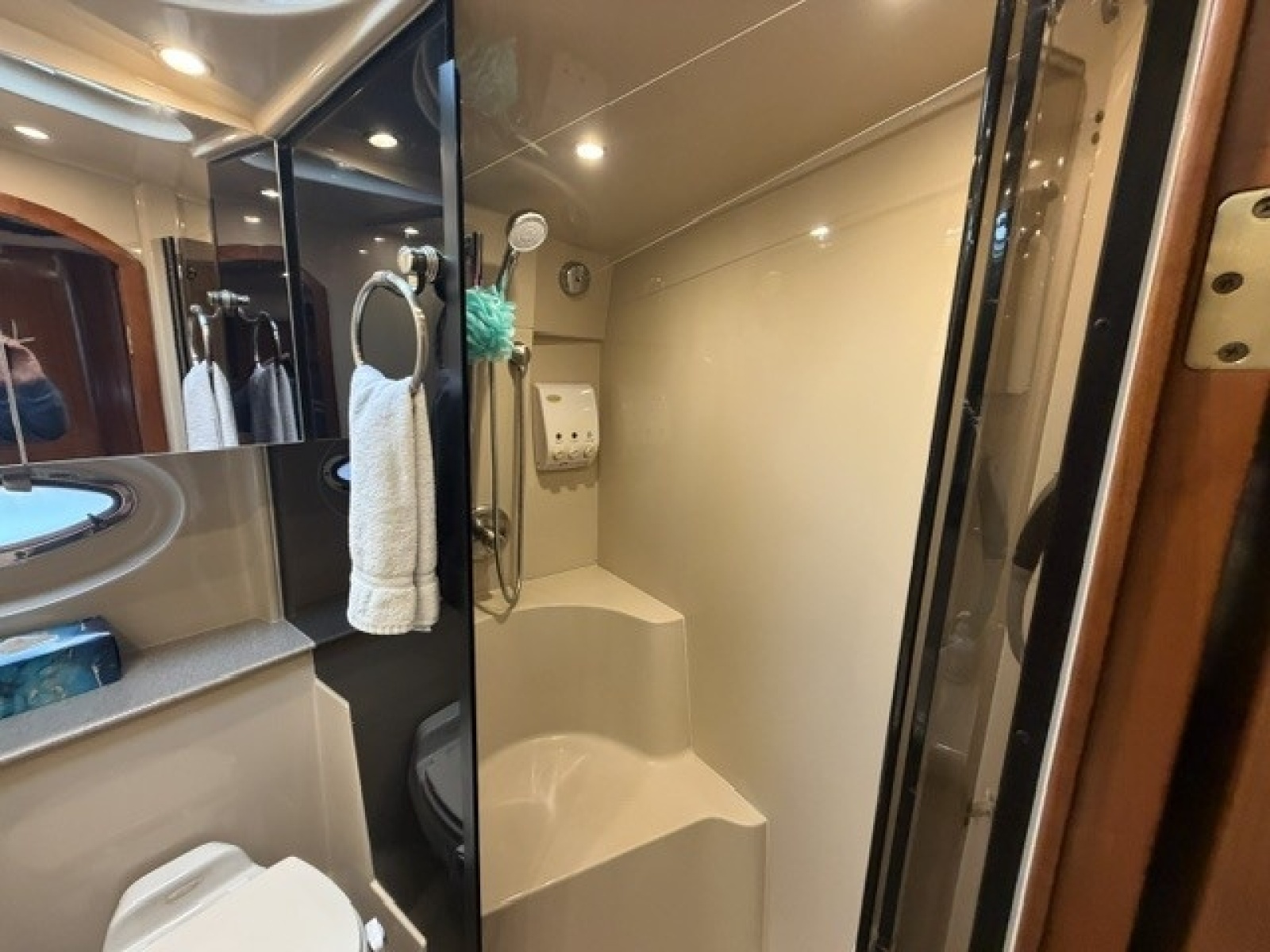 Bathroom stall shower