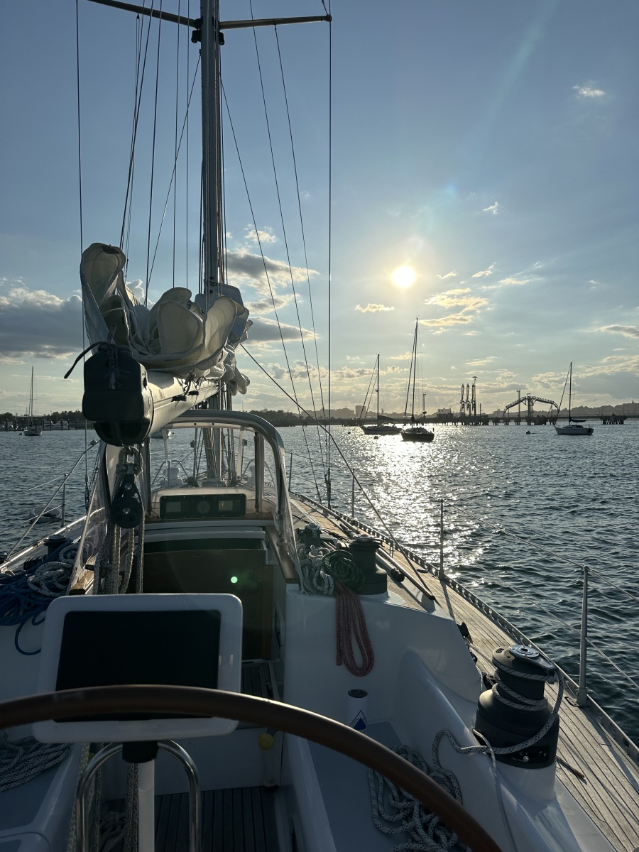 1988 Belliure 41