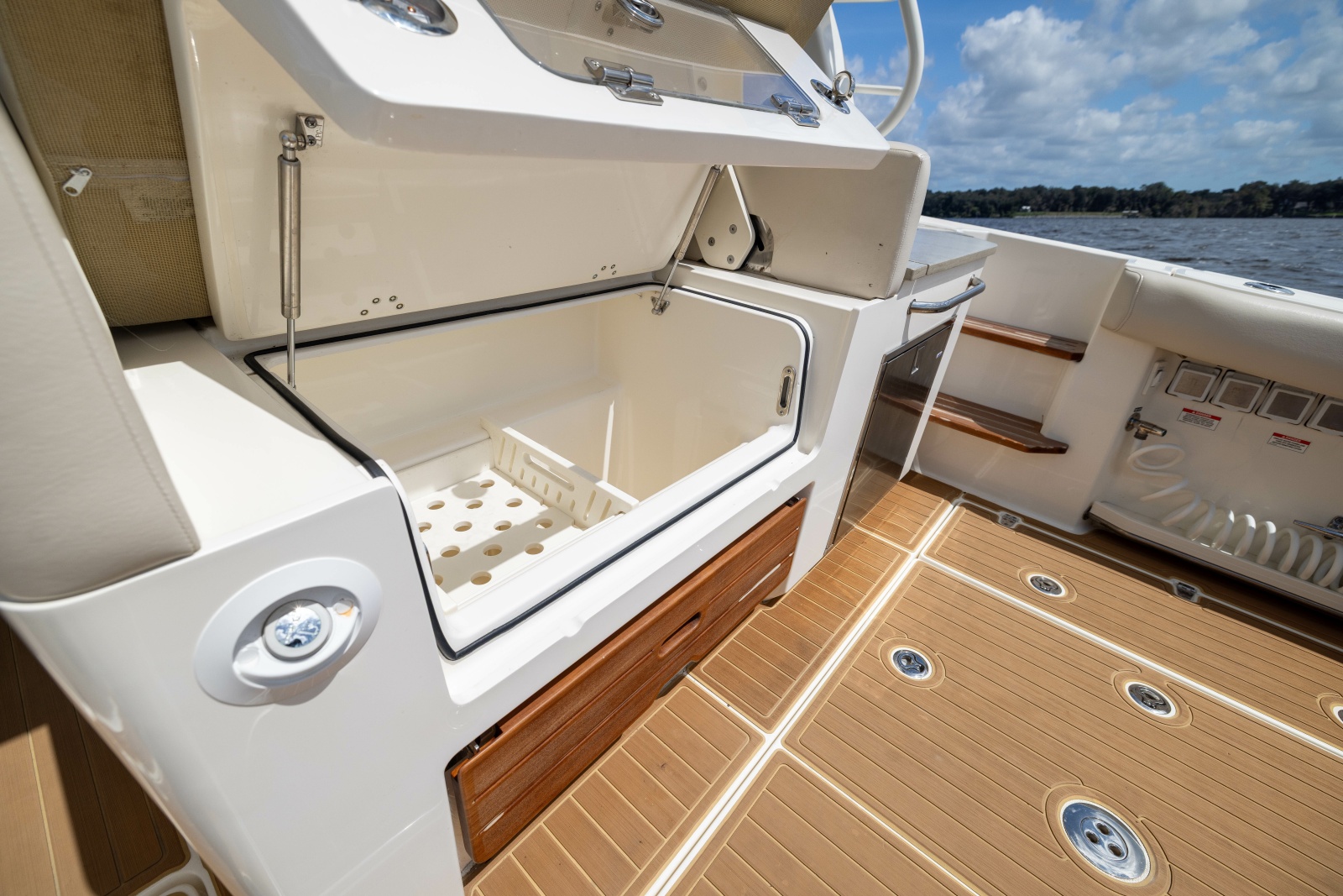 2021 Boston Whaler Realm