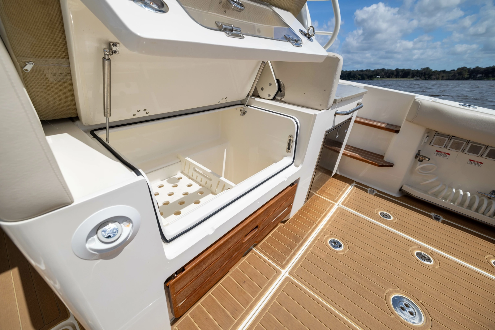 2021 Boston Whaler Realm