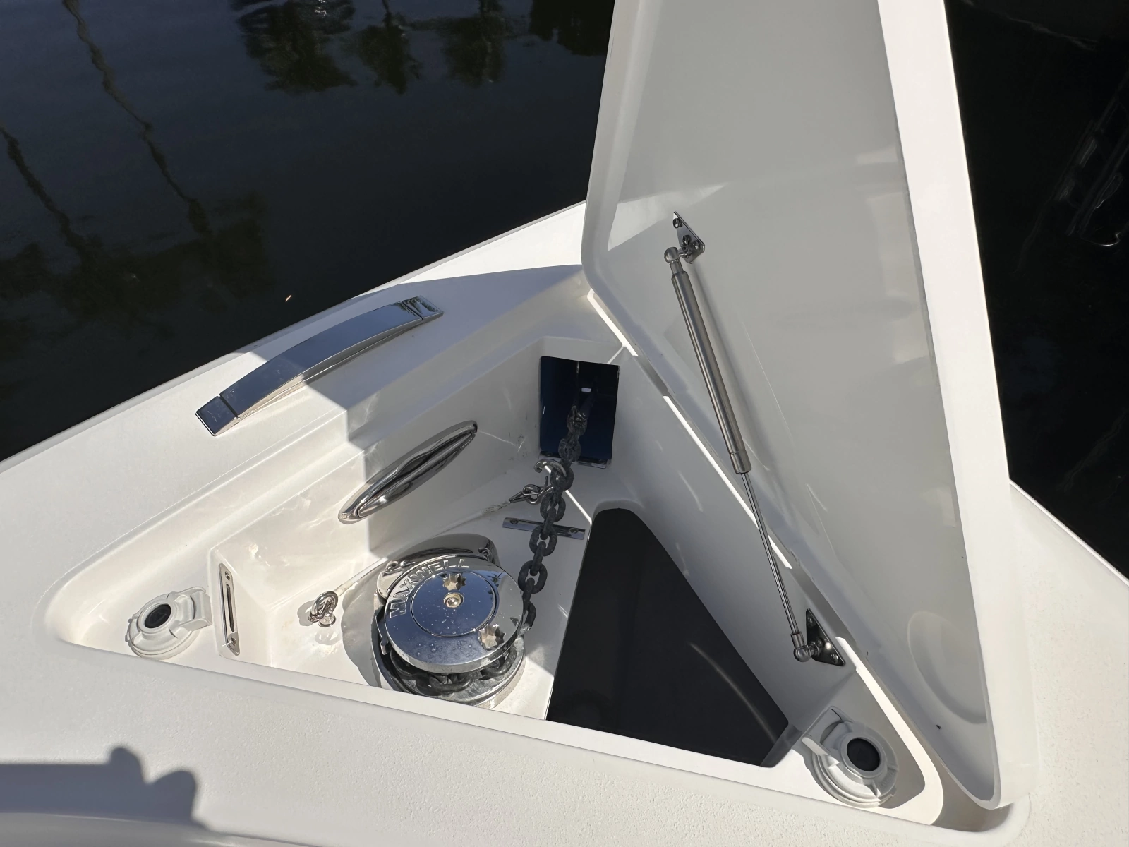 2020 Intrepid 407 Panacea
